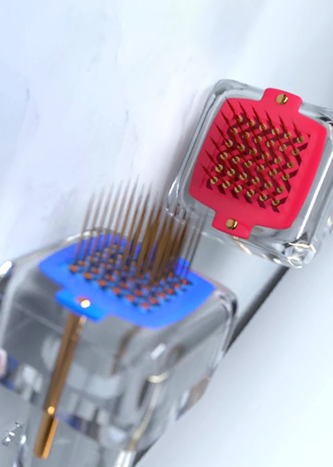 Vivace ( Altın İğne)